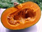 La zucca La zucca
