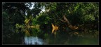 Rio Macaguanì Rio Macaguanì