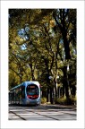 Una gita in tram Una gita in tram