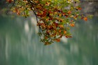 Colori d'autunno Colori d'autunno
