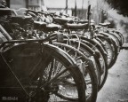 biciclette biciclette