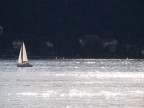sul mare luccica ..... sul mare luccica .....