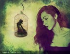 freedom in cage freedom in cage