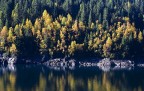specchi d'autunno specchi d'autunno