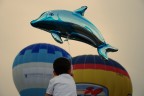 Volere volare Volere volare