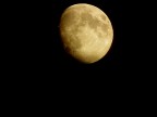 Luna Luna