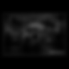 In onore di H. Newton 2