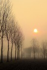 Luci di pianura Luci di pianura