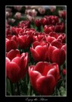 Enjoy the Silence Enjoy the Silence