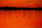 rosso di sera