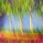 ||| |||