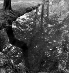 digilux-2  f2.2  1/40  - bw+crop in ps