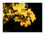 Autunno Autunno