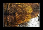 Specchio...d'acqua Specchio...d'acqua