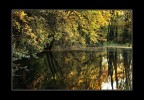 Ottobre nel bosco Ottobre nel bosco