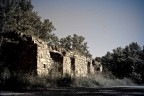 IMG_32 IMG_32