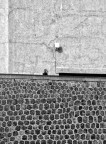 Composizione due dimensioni Composizione due dimensioni