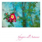 Sfuggire all'Autunno