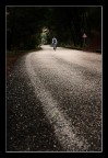 salita solitaria salita solitaria