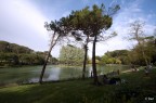 Villa Ada Villa Ada