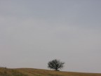 Sull'autostrada... Sull'autostrada...
