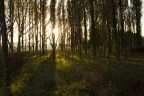 Autunno Autunno