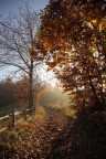 Strade d'autunno