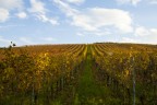 Autunno 2 Autunno 2