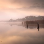 tre tre