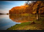 Calmness Calmness