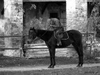 "L'uomo che sussurrava ai cavalli" "L'uomo che sussurrava ai cavalli"