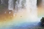 Avvoltoi nell'arcobaleno Avvoltoi nell'arcobaleno