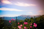 Paesaggio Paesaggio