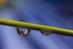 Lente d'acqua Lente d'acqua