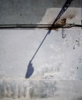 semplicita' semplicita'