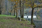 quiete sul lago quiete sul lago