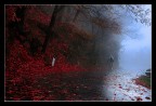 fatica nella nebbia fatica nella nebbia