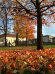 I colori dell'Autunno I colori dell'Autunno