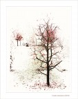Anime...in autunno Anime...in autunno
