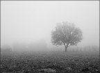 momenti di silenzio momenti di silenzio