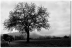 Novembre Novembre
