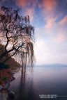 autumn autumn