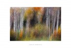 Autunno Autunno