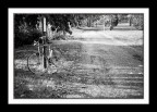 libertà di pedalare2 libertà di pedalare2