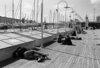 Pausa pranzo al Porto antico Pausa pranzo al Porto antico