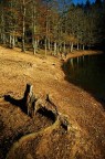 domenica al lago.. domenica al lago..