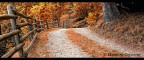 Strade d'autunno Strade d'autunno