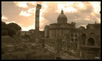 Foro Romano Foro Romano