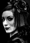 Dark Lady bn Dark Lady bn