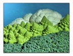 Nubi minacciose sul mio mondo vegetale! Nubi minacciose sul mio mondo vegetale!